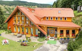 Penzion U Veselych